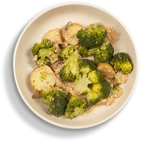 Formule Low Carb 10 Formule Low Carb 9