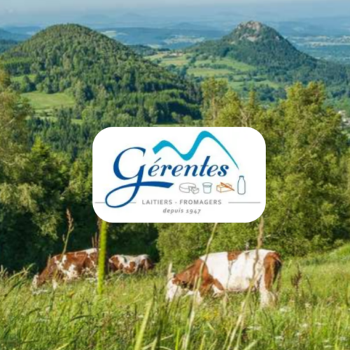Nos ingrédients 14 🥛 LAITERIE GÉRENTES - NOTRE LAIT DE MONTAGNE
Depuis plus de 70 ans, cette entreprise familiale de Haute-Loire préserve un savoir-faire laitier de qualité. Son modèle privilégie un approvisionnement local, avec du lait collecté dans un rayon restreint autour de ses usines, garantissant fraîcheur et traçabilité. Lait, crème fraîche, fromages blancs… leurs produits sont au cœur de nombreuses recettes de notre Brigade !