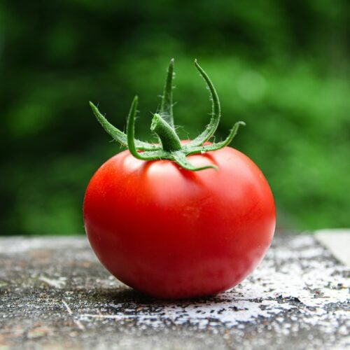Nos ingrédients 15 🍅 LOUIS MARTIN - NOTRE PASSION POUR LA TOMATE
Fondée en 1918, cette entreprise familiale est spécialisée dans la transformation de la tomate au coeur de la provence. Les tomates sont rigoureusement sélectionnées, récoltées à maturité puis cuisinées dans leur atelier à moins de 150 km du lieu de récolte. Toutes nos sauces et préparations à la tomate viennent de chez eux !